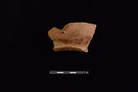 藏品(陶罐)的圖片